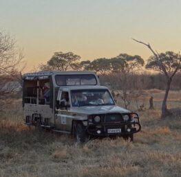 game-drive bush travellers safaris